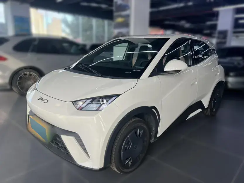 2024 BYD Seagull BEV 30.08KWH