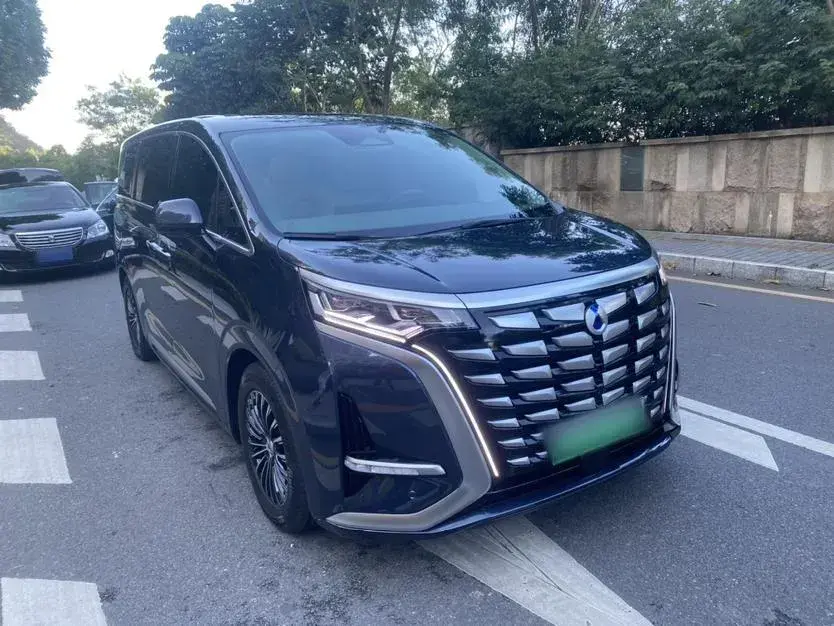 2022 Denza D9 1.5T 139HP L4 E-CVT PHEV 40.06KWH