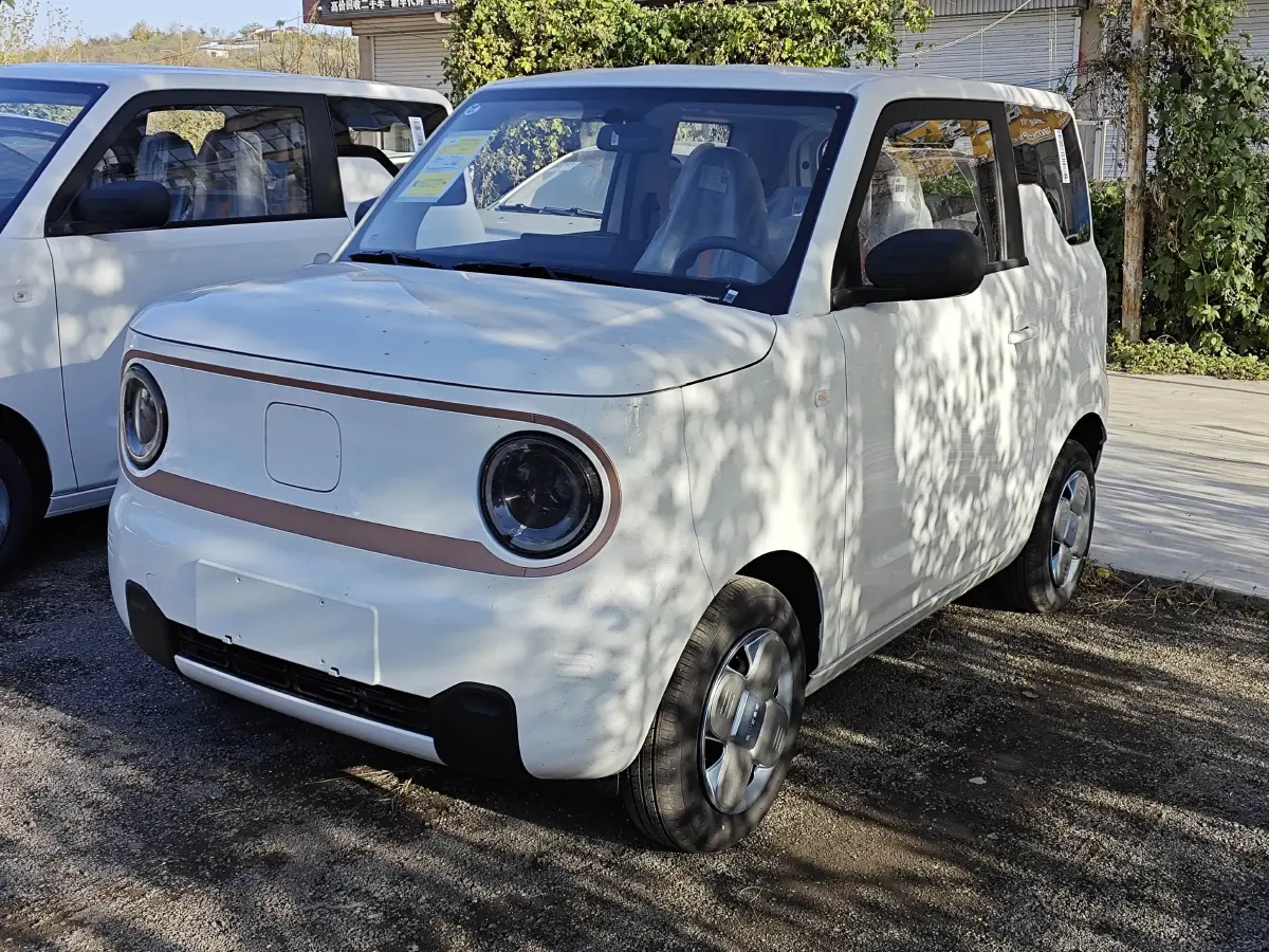 2024 Geely Panda BEV 17.03KWH