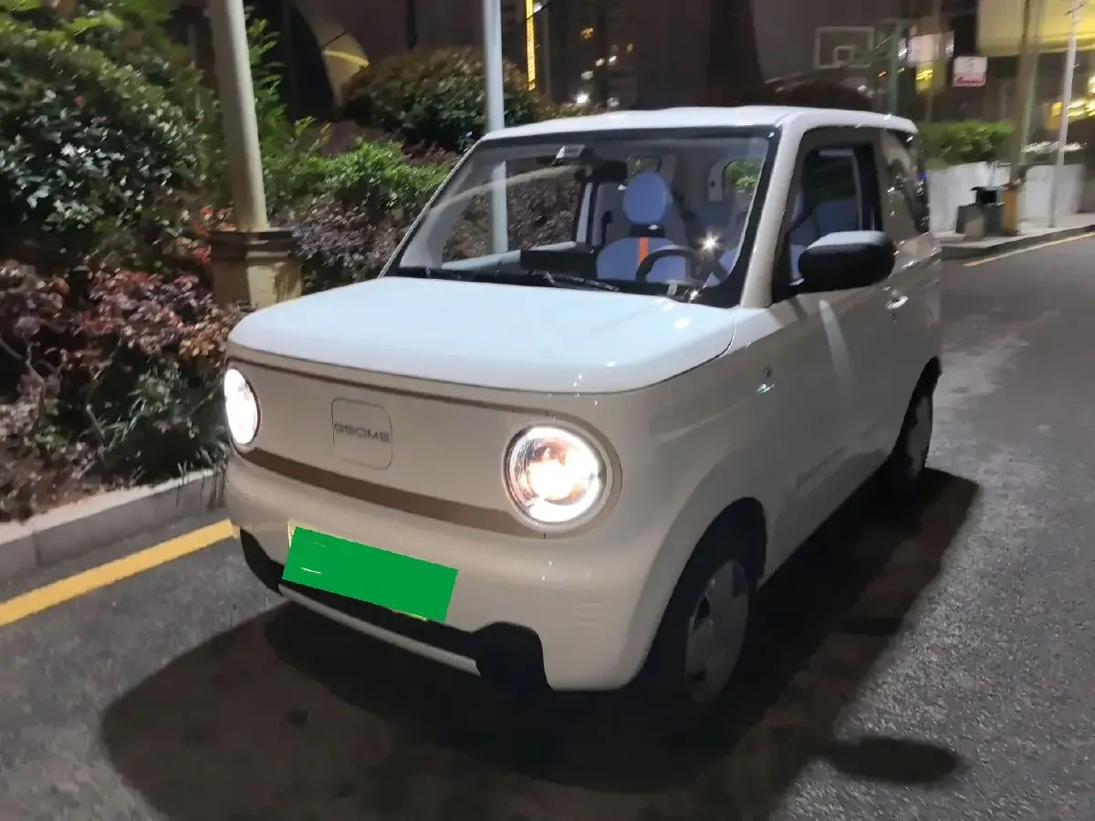 2024 Geely Panda BEV 17.03KWH