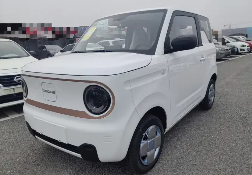 2024 Geely Panda BEV 17.03KWH