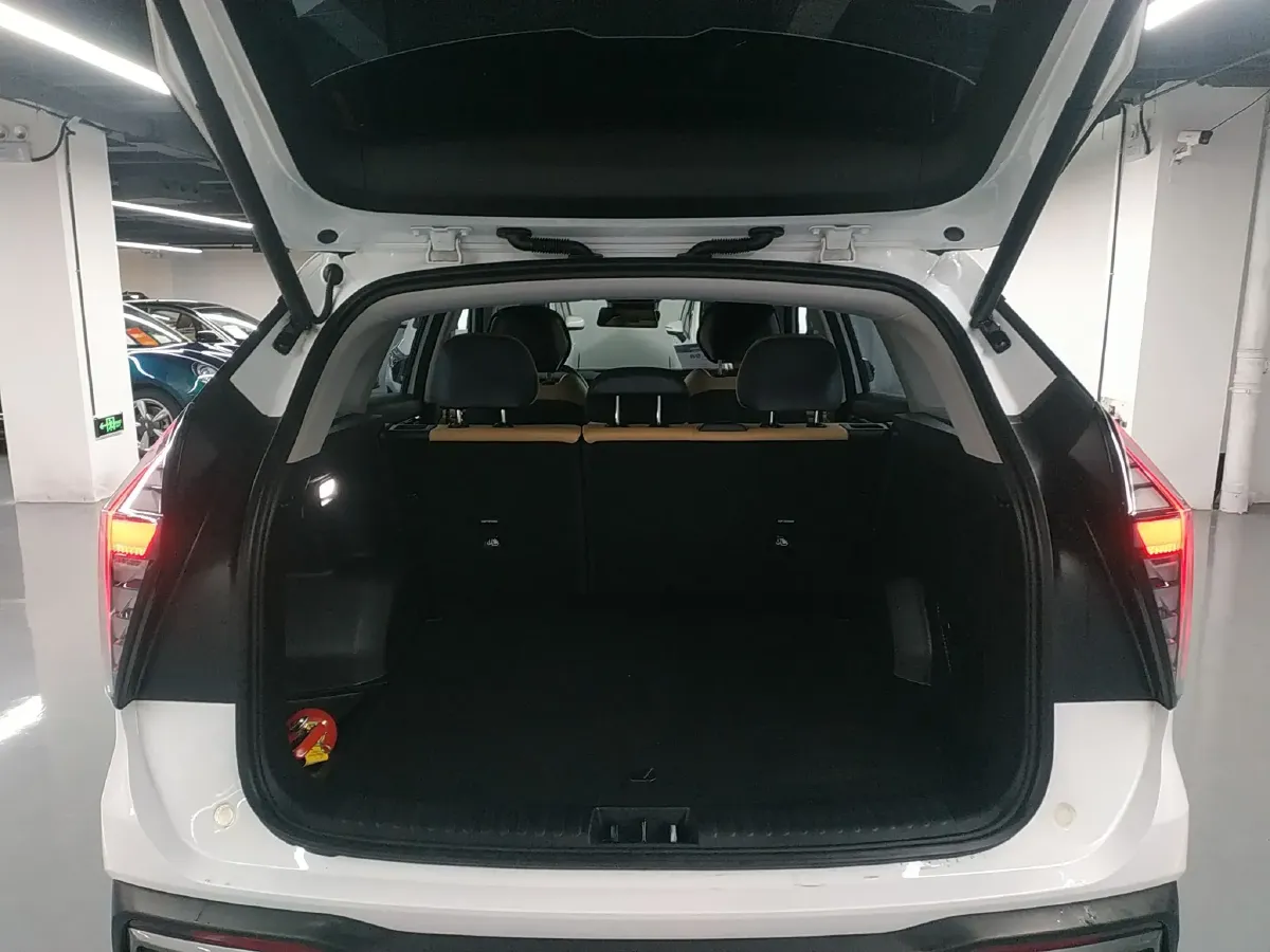 2021 Geely Monjaro 2.0T 218HP L4 7DCT,autocango,china used car exporter,china ev exporter,chinese used car exporter,chinese used ev exporter