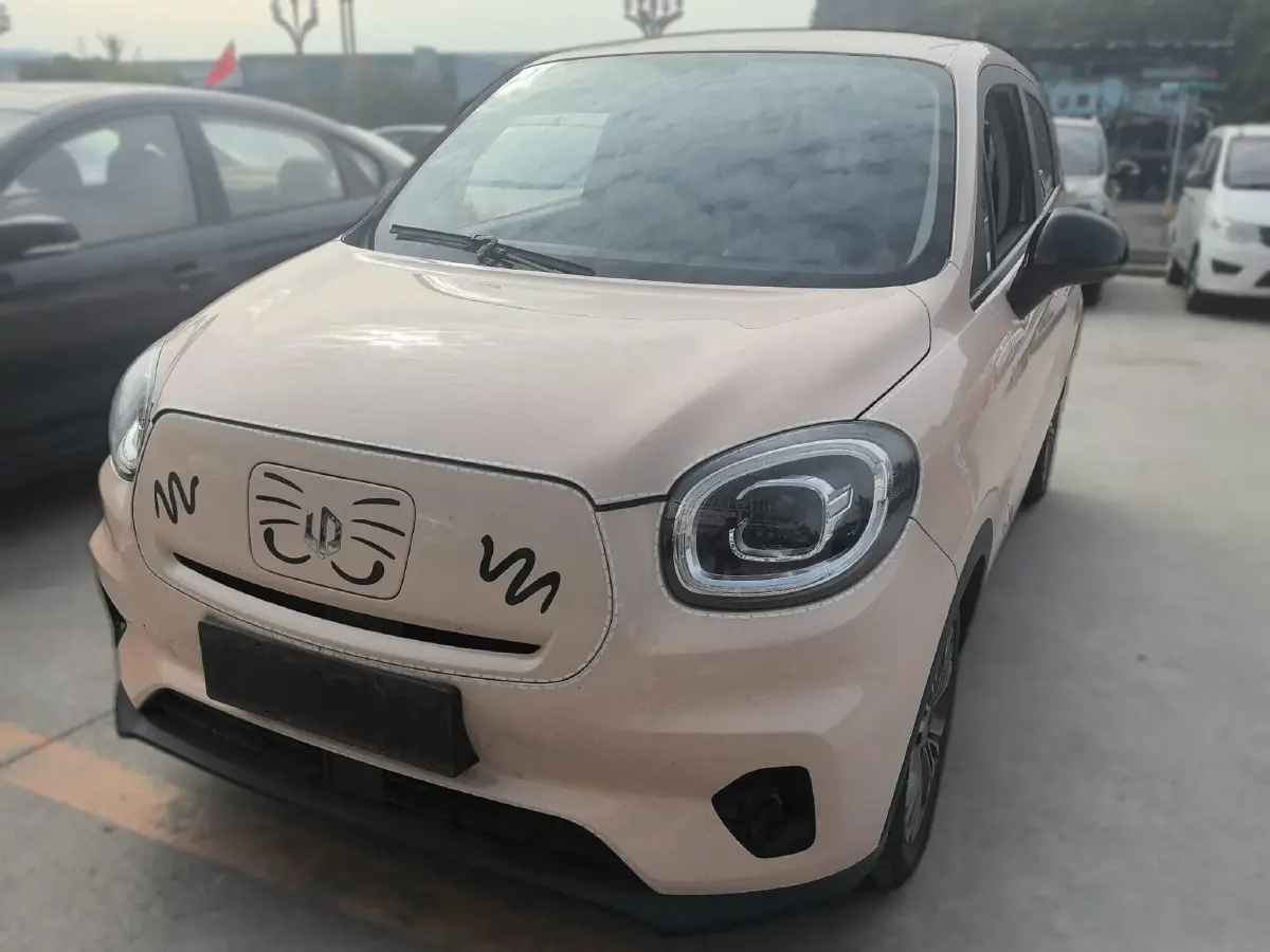 2021 Leapmotor T03 BEV 38KWH