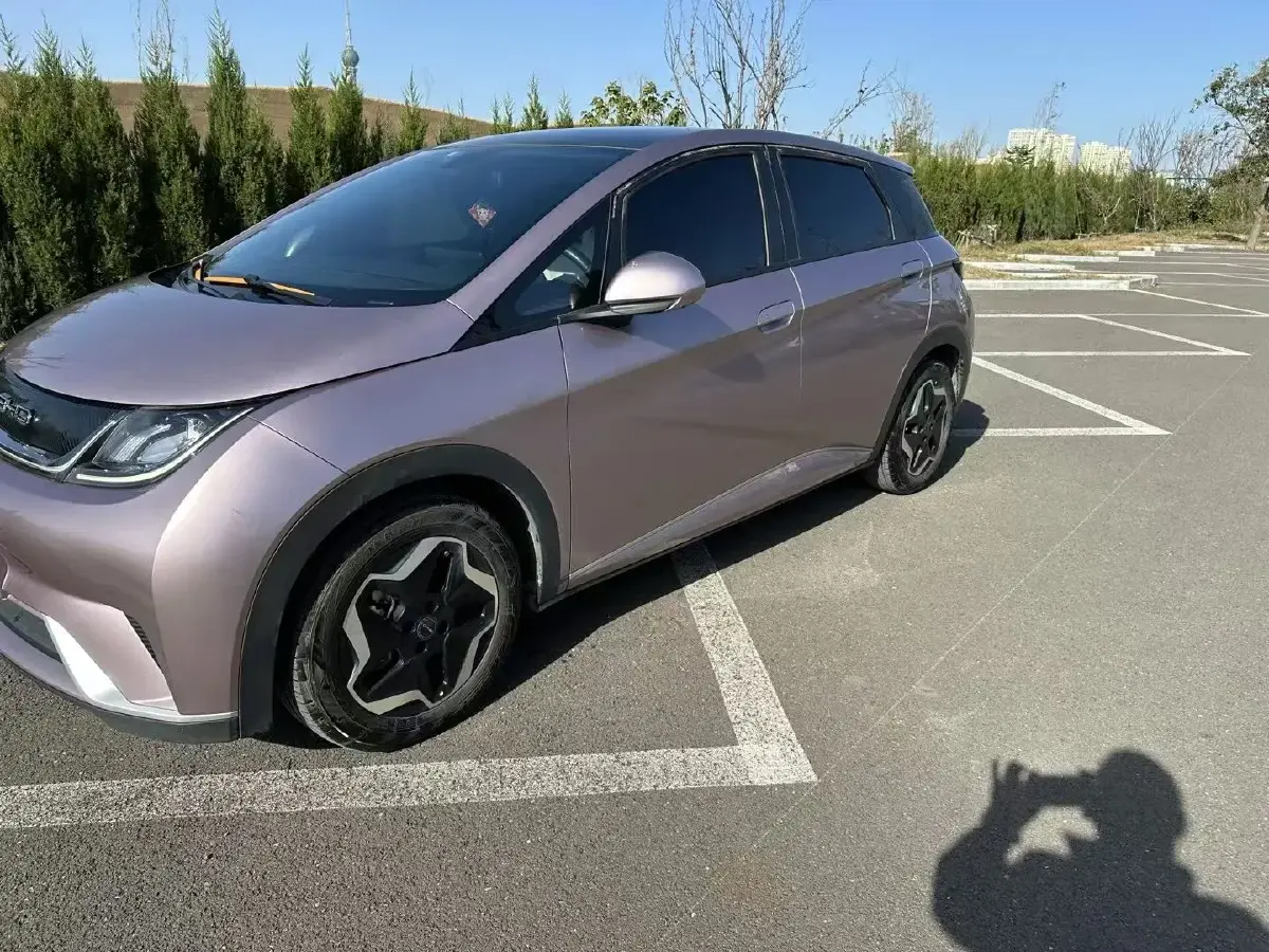 2021 BYD Dolphin BEV 44.9KWH
