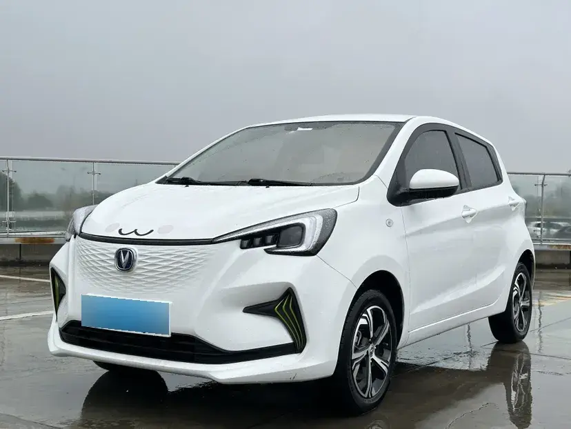 2022 ChangAn BenBen E-Star BEV 31.95KWH