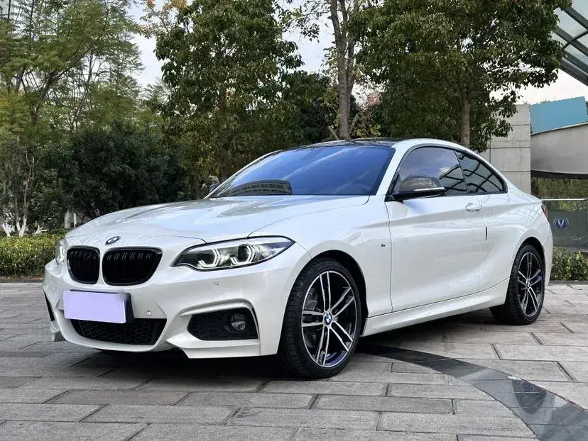 2019 BMW 2 Series 2.0T 184HP L4 8AT