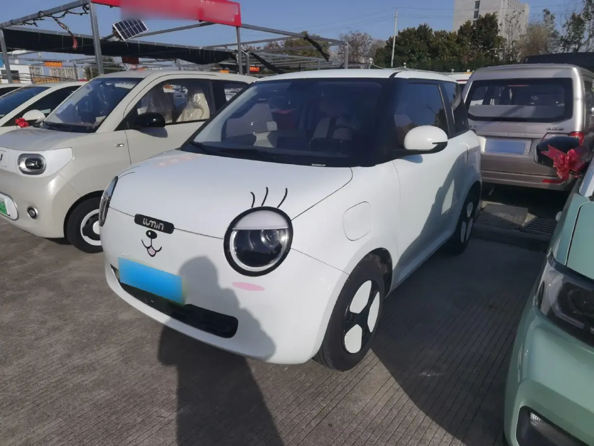 2022 ChangAn Lumin BEV 12.92KWH