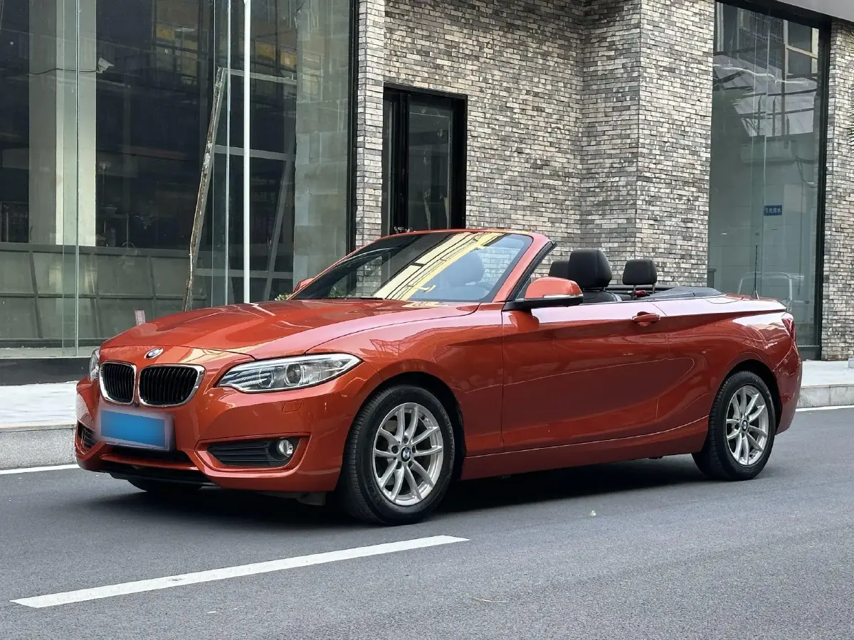 2015 BMW 2 Series 1.5T 136HP L3 8AT