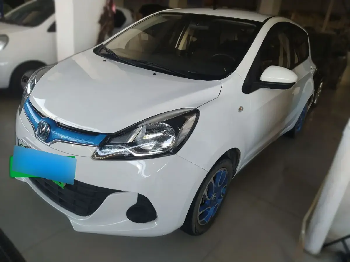 2019 ChangAn BenBen EV BEV
