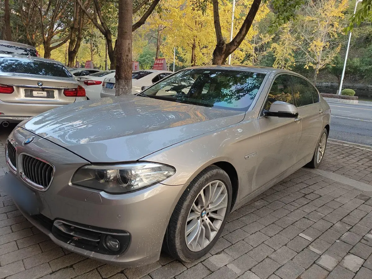 2014 BMW 5 Series 2.0T 218HP L4 8AT