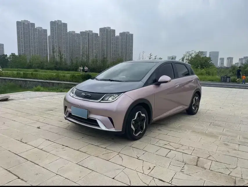 2021 BYD Dolphin BEV 44.9KWH