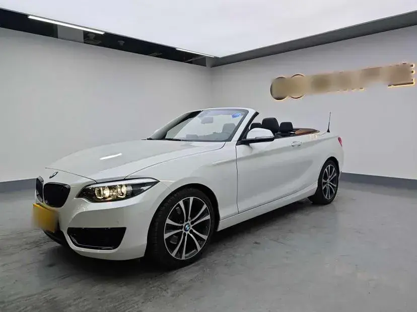 2019 BMW 2 Series 2.0T 184HP L4 8AT