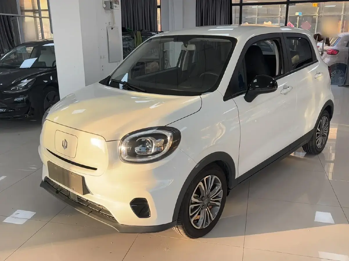 2020 Leapmotor T03 BEV 38KWH