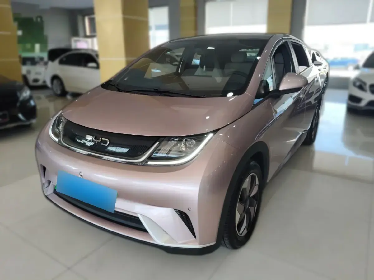 2024 BYD Dolphin BEV 44.928KWH