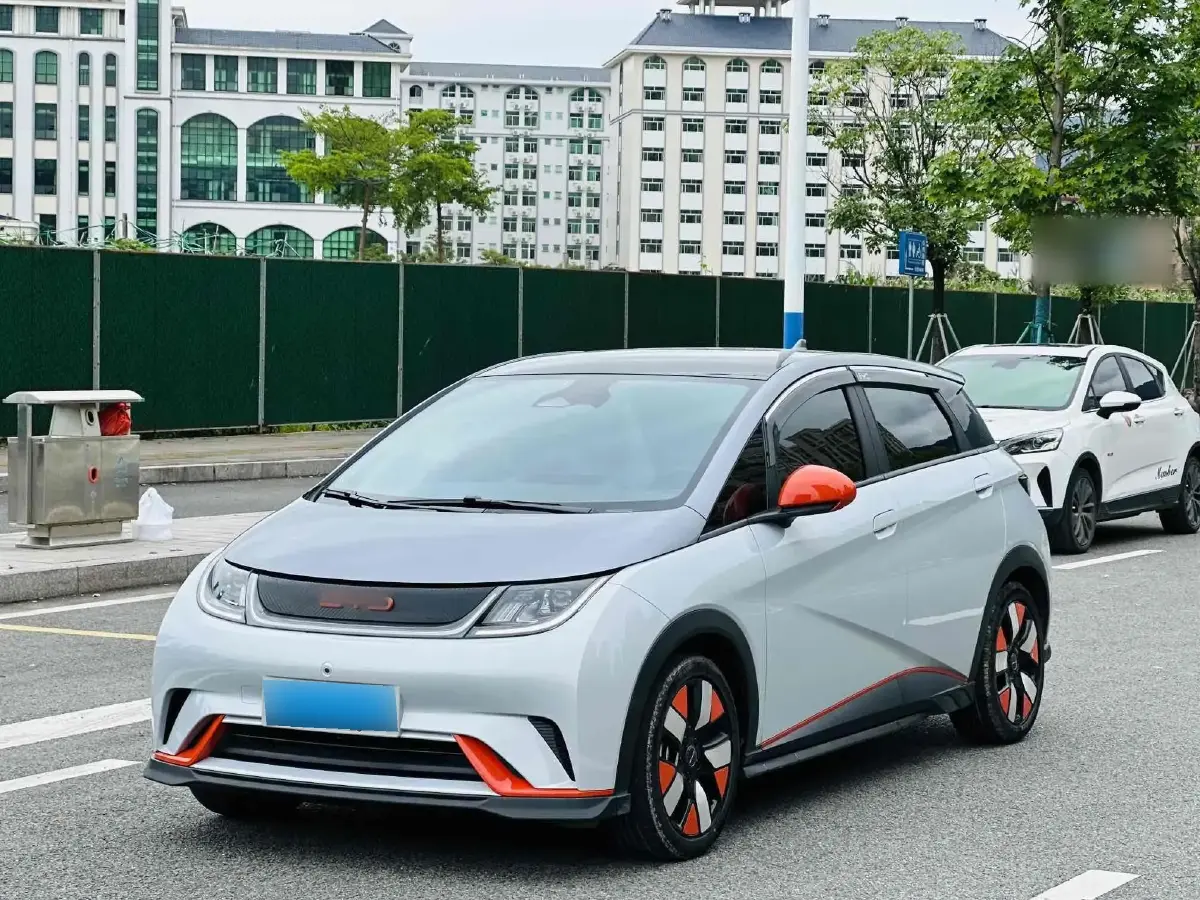 2021 BYD Dolphin BEV 44.9KWH