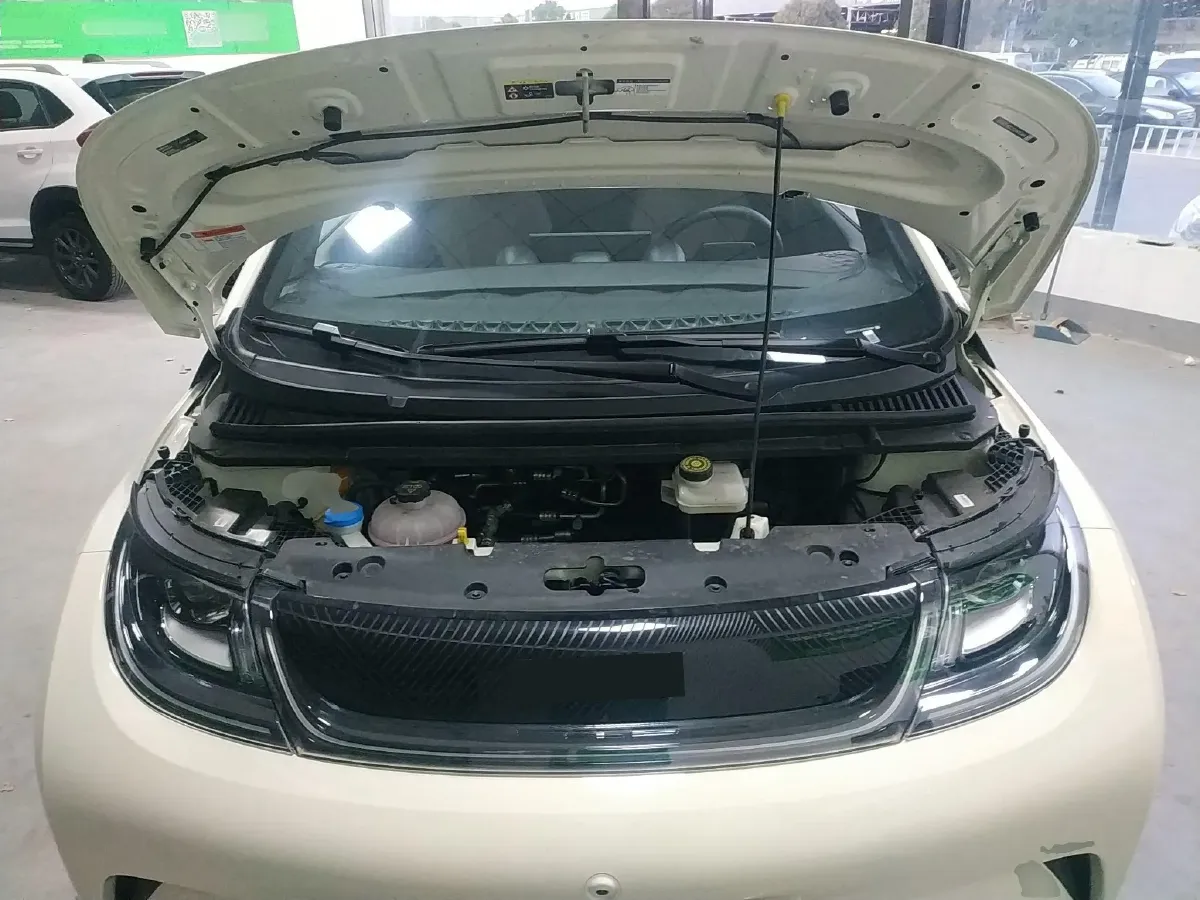 2025 BYD Dolphin BEV 44.928KWH,autocango,china used car exporter,china ev exporter,chinese used car exporter,chinese used ev exporter