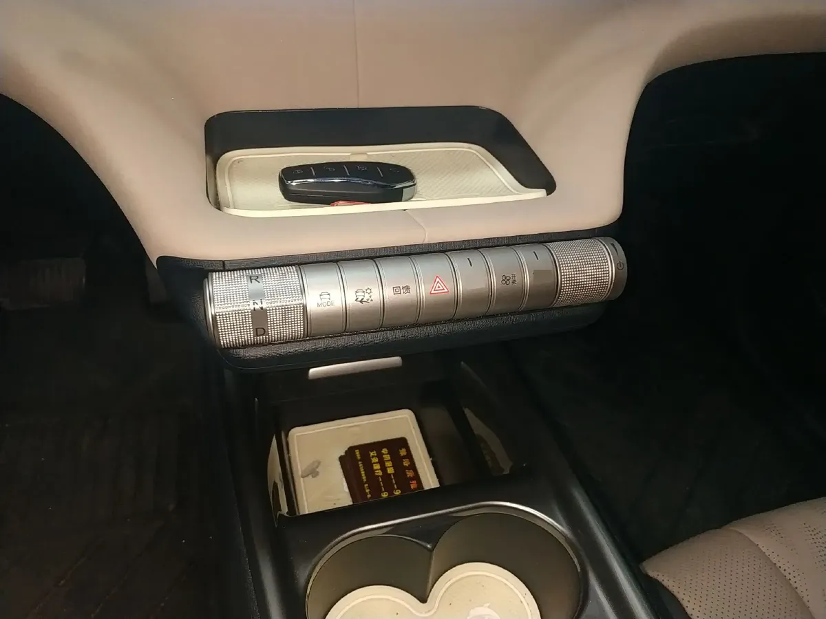 2025 BYD Dolphin BEV 44.928KWH,autocango,china used car exporter,china ev exporter,chinese used car exporter,chinese used ev exporter