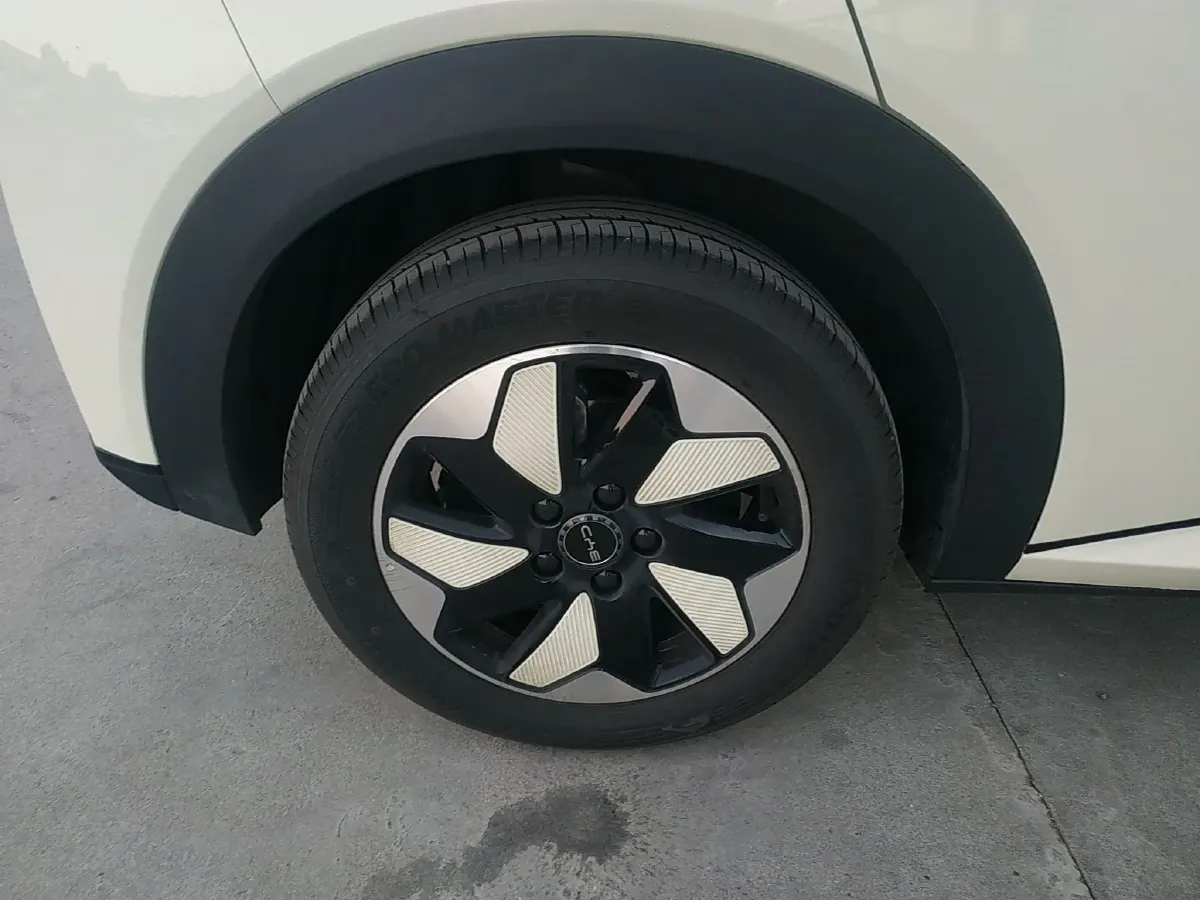 2025 BYD Dolphin BEV 44.928KWH,autocango,china used car exporter,china ev exporter,chinese used car exporter,chinese used ev exporter