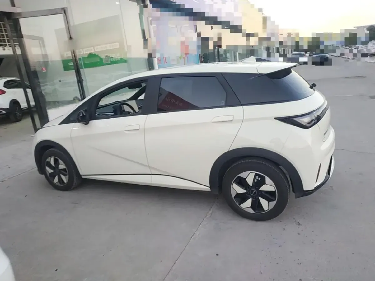 2025 BYD Dolphin BEV 44.928KWH,autocango,china used car exporter,china ev exporter,chinese used car exporter,chinese used ev exporter