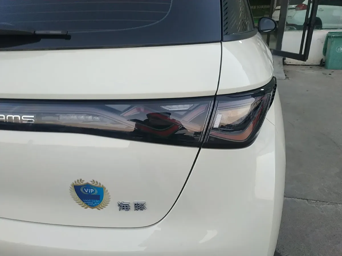 2025 BYD Dolphin BEV 44.928KWH,autocango,china used car exporter,china ev exporter,chinese used car exporter,chinese used ev exporter