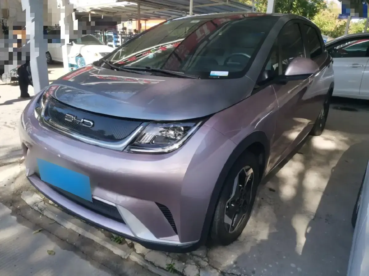 2021 BYD Dolphin BEV 44.9KWH