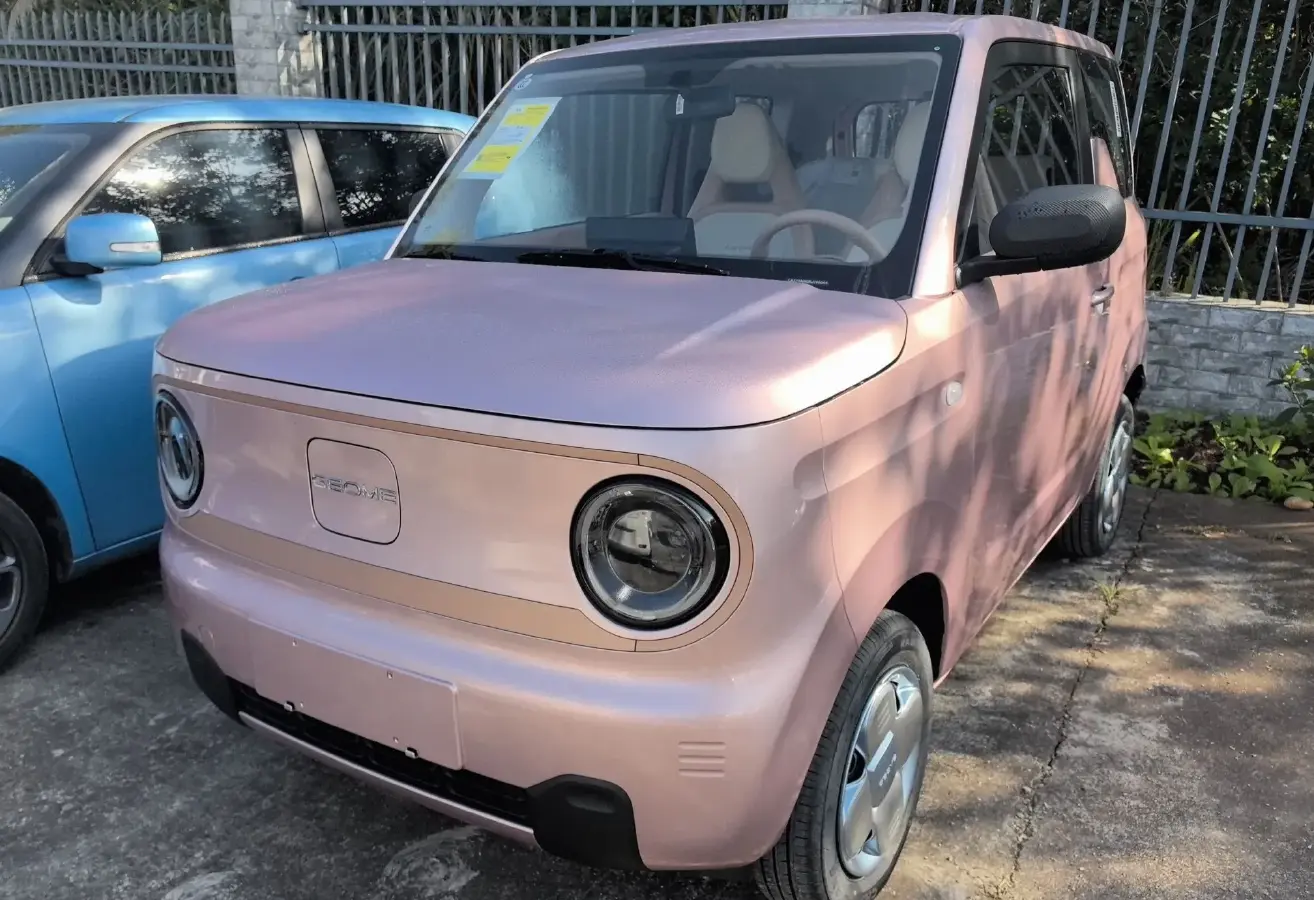 2024 Geely Panda BEV 17.03KWH