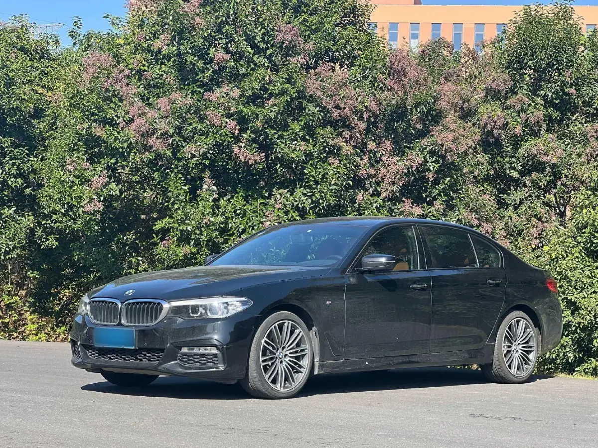 2018 BMW 5 Series 2.0T 252HP L4 8AT