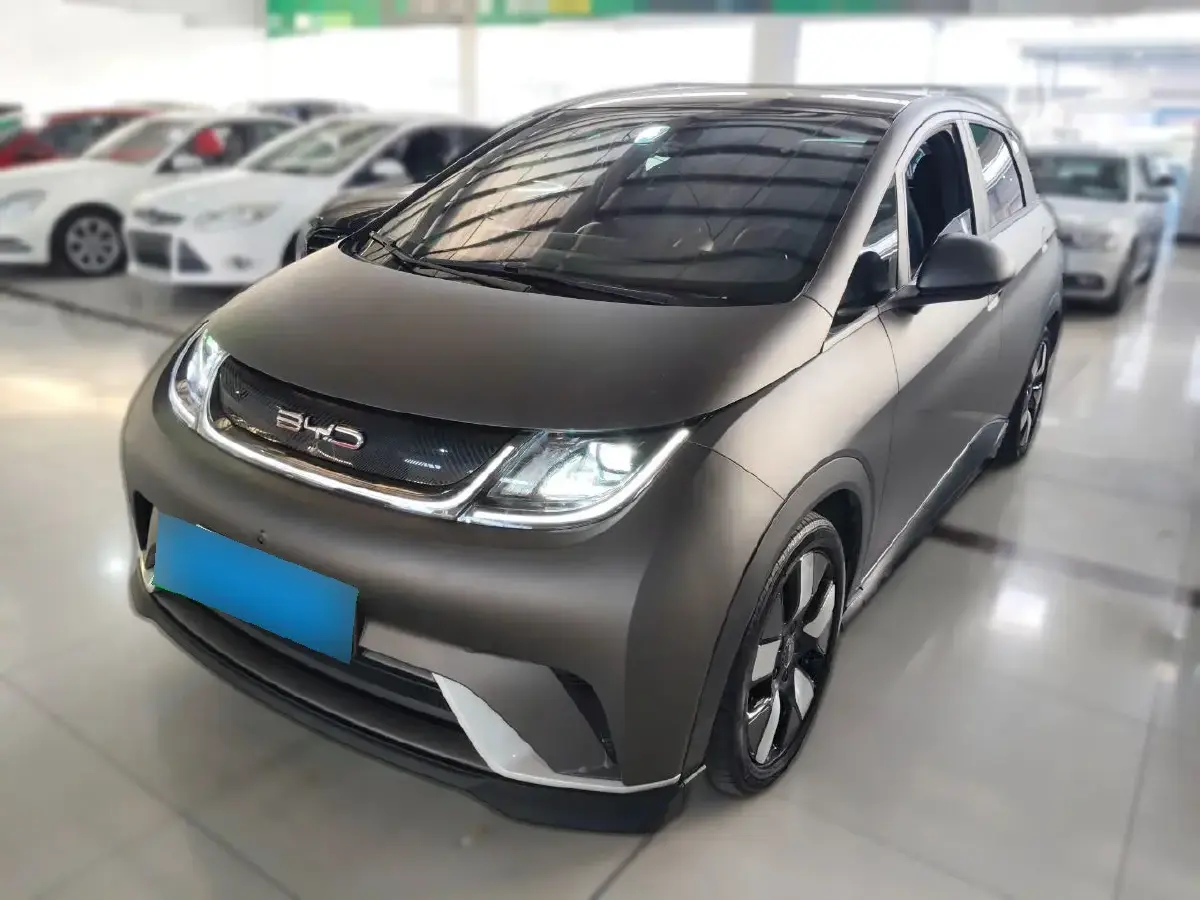 2021 BYD Dolphin BEV 44.9KWH
