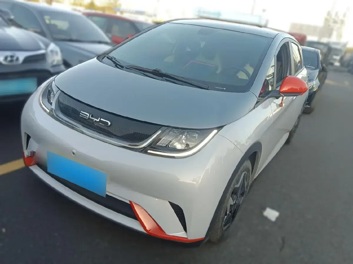 2021 BYD Dolphin BEV 44.9KWH