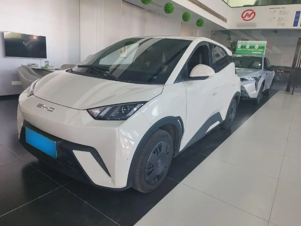 2024 BYD Seagull BEV 30.08KWH