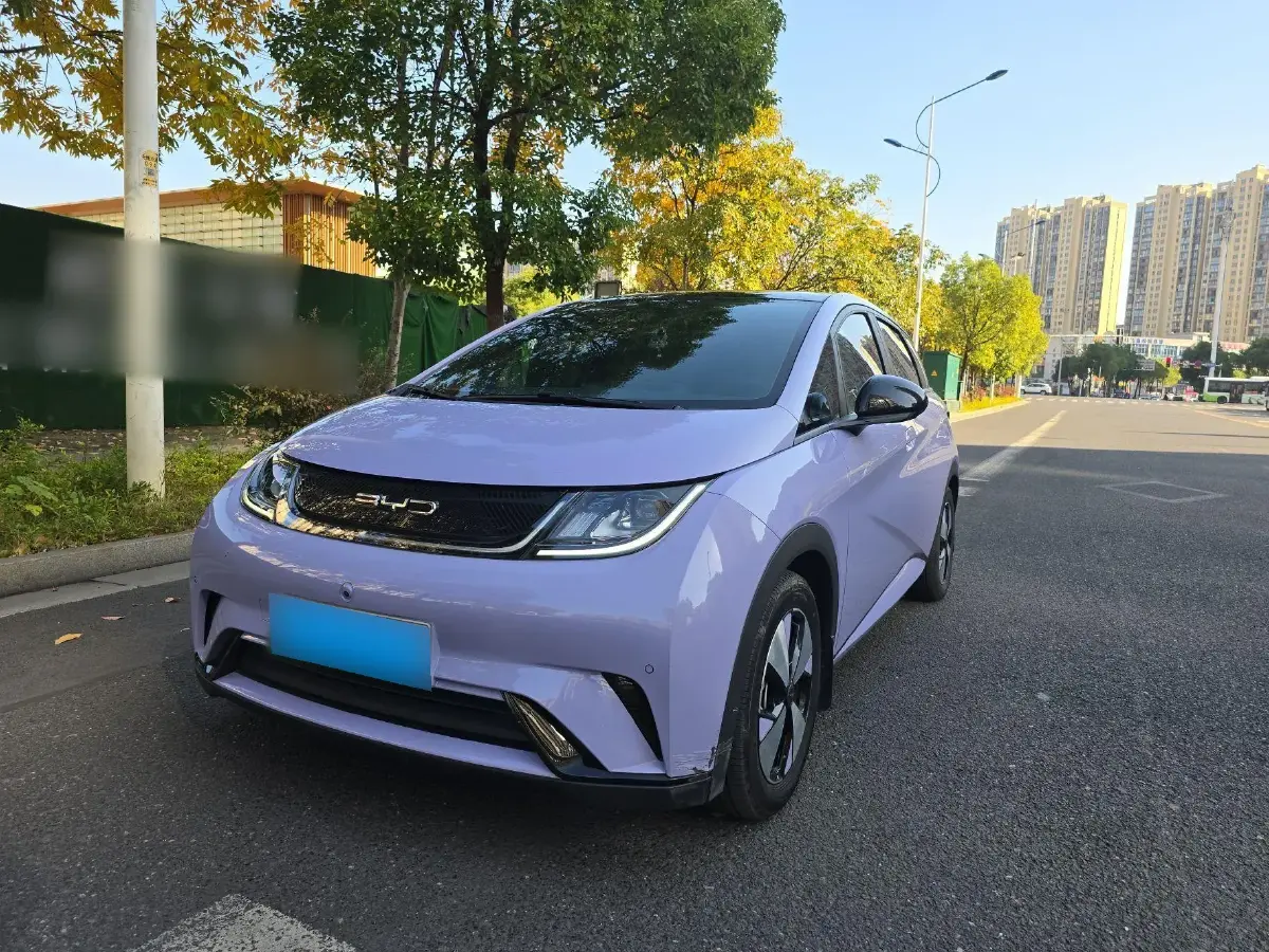 2023 BYD Dolphin BEV 44.928KWH
