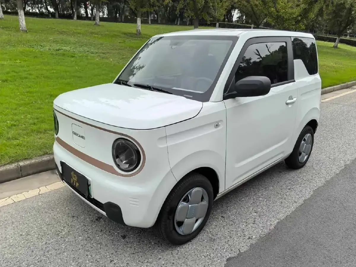 2023 Geely Panda BEV 17.03KWH