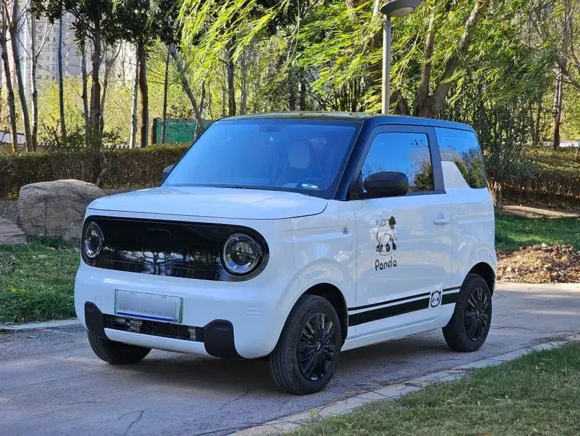 2023 Geely Panda BEV 17.03KWH