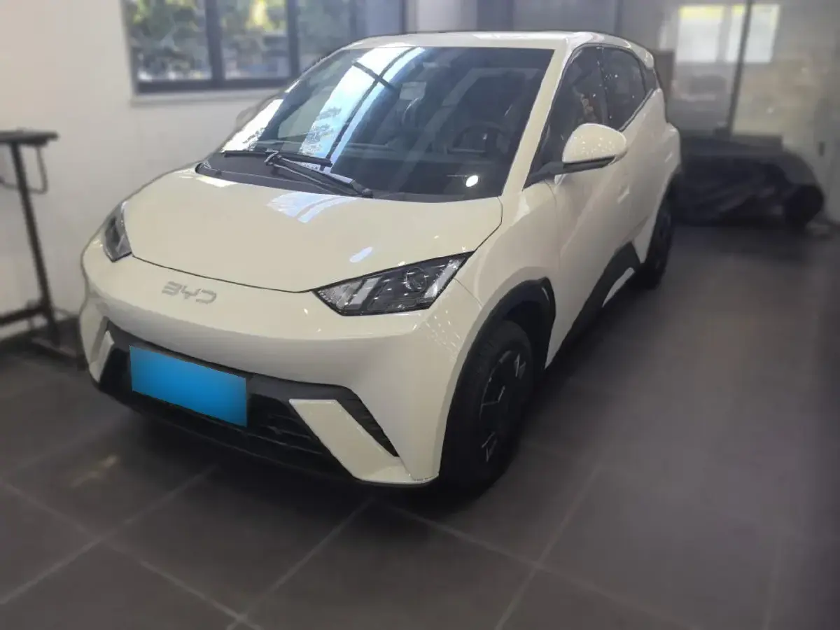 2025 BYD Seagull BEV 30.08KWH