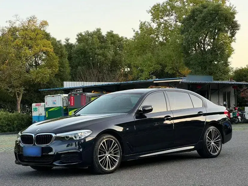 2019 BMW 5 Series 2.0T 252HP L4 8AT