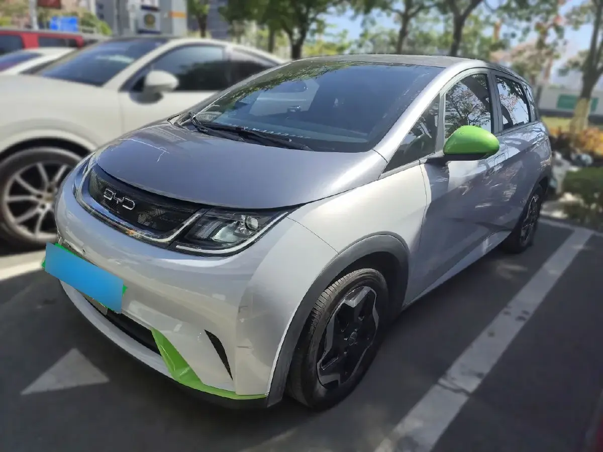 2021 BYD Dolphin BEV 44.9KWH