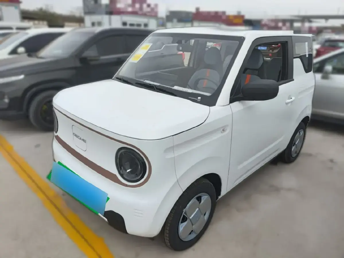 2024 Geely Panda BEV 17.03KWH