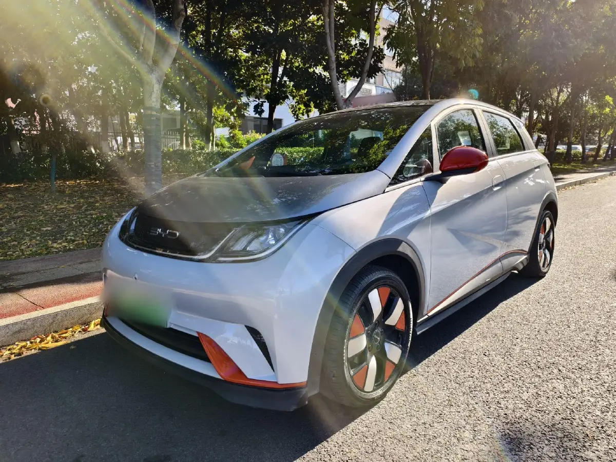 2021 BYD Dolphin BEV 44.9KWH