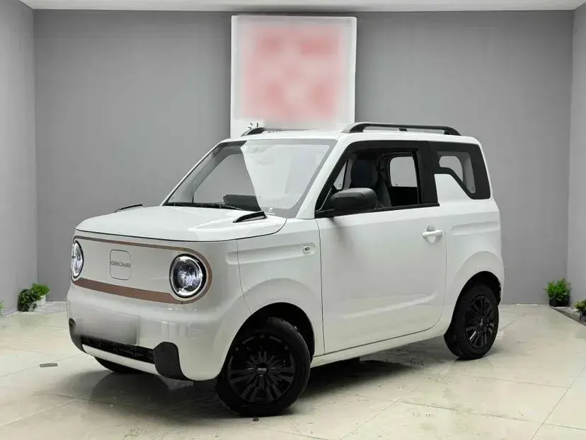 2024 Geely Panda BEV 17.03KWH