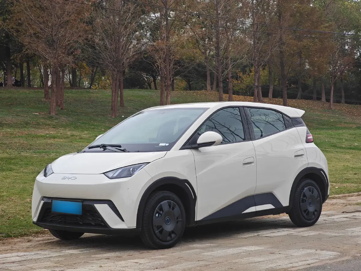 2025 BYD Seagull BEV 30.08KWH