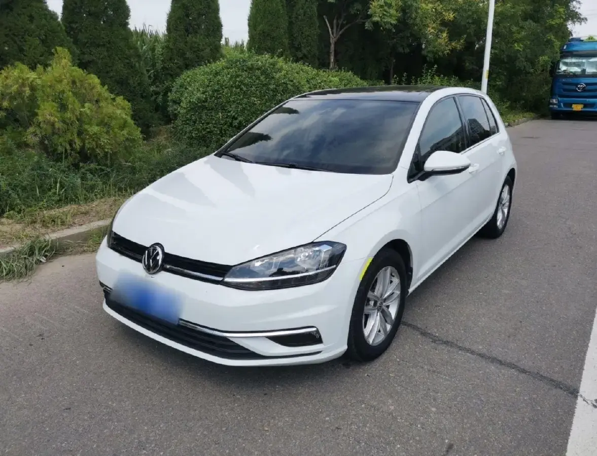 2019 Volkswagen Golf 1.6L 110HP L4 6AT