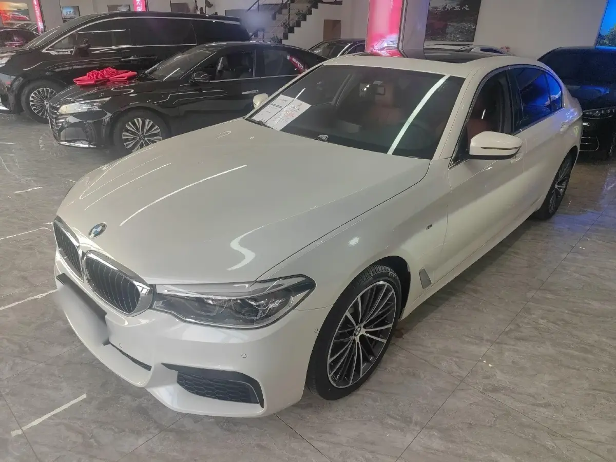 2020 BMW 5 Series 2.0T 252HP L4 8AT