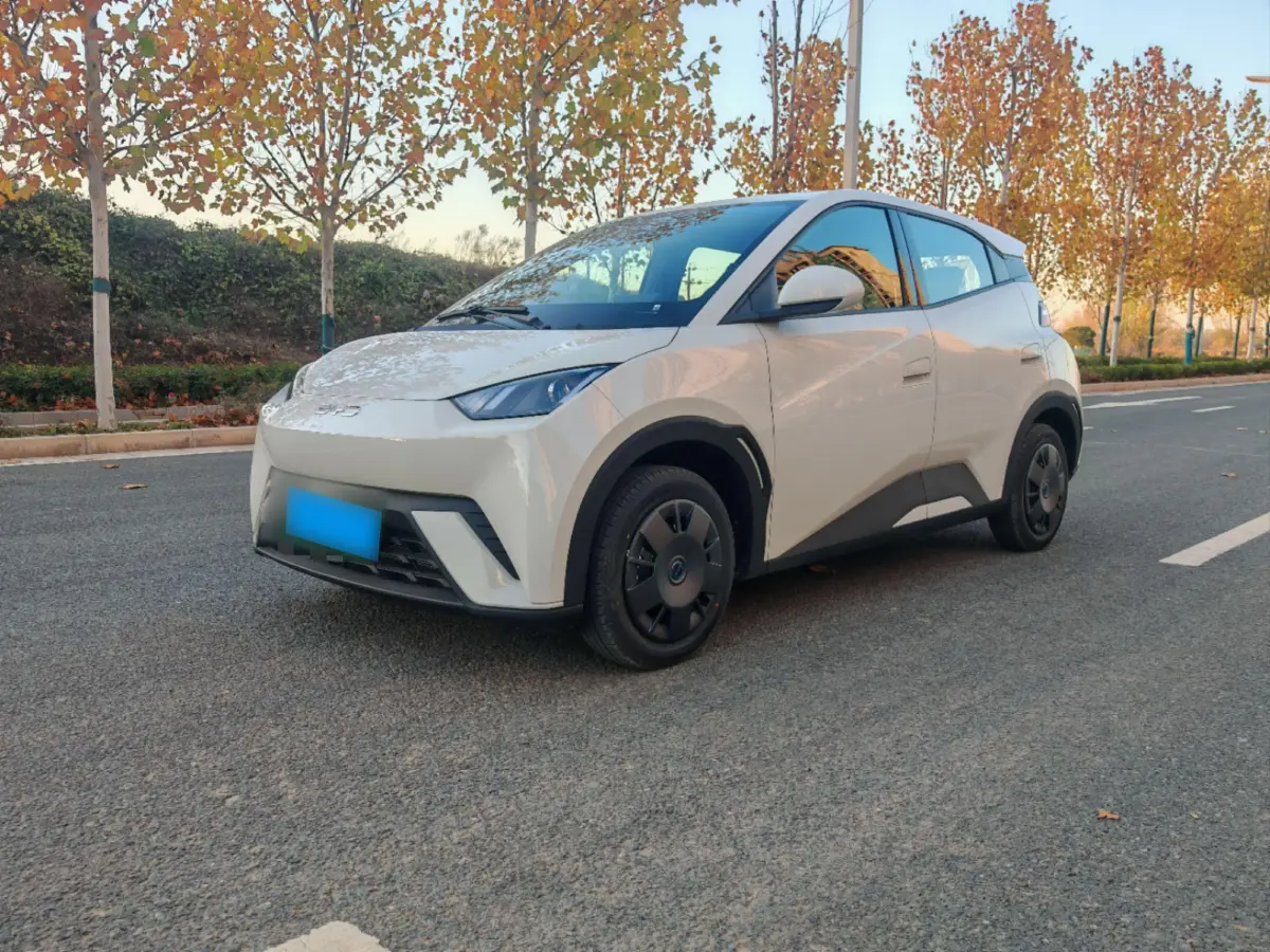 2025 BYD Seagull BEV 30.08KWH