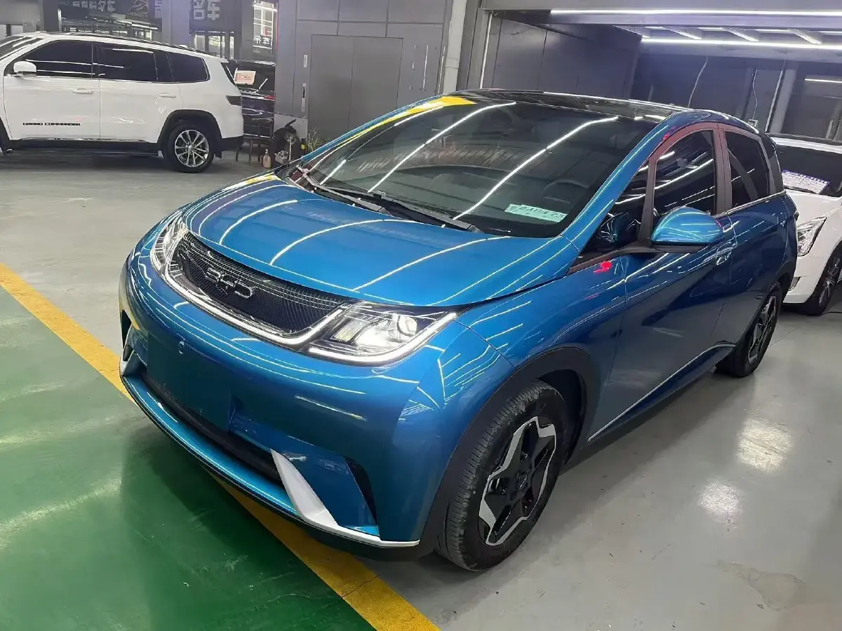 2021 BYD Dolphin BEV 44.9KWH