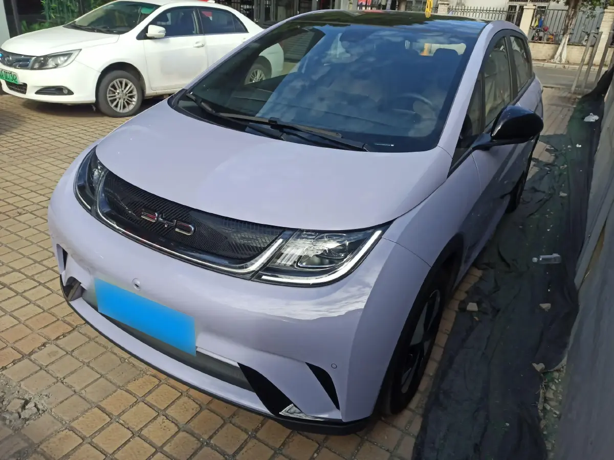 2023 BYD Dolphin BEV 44.928KWH