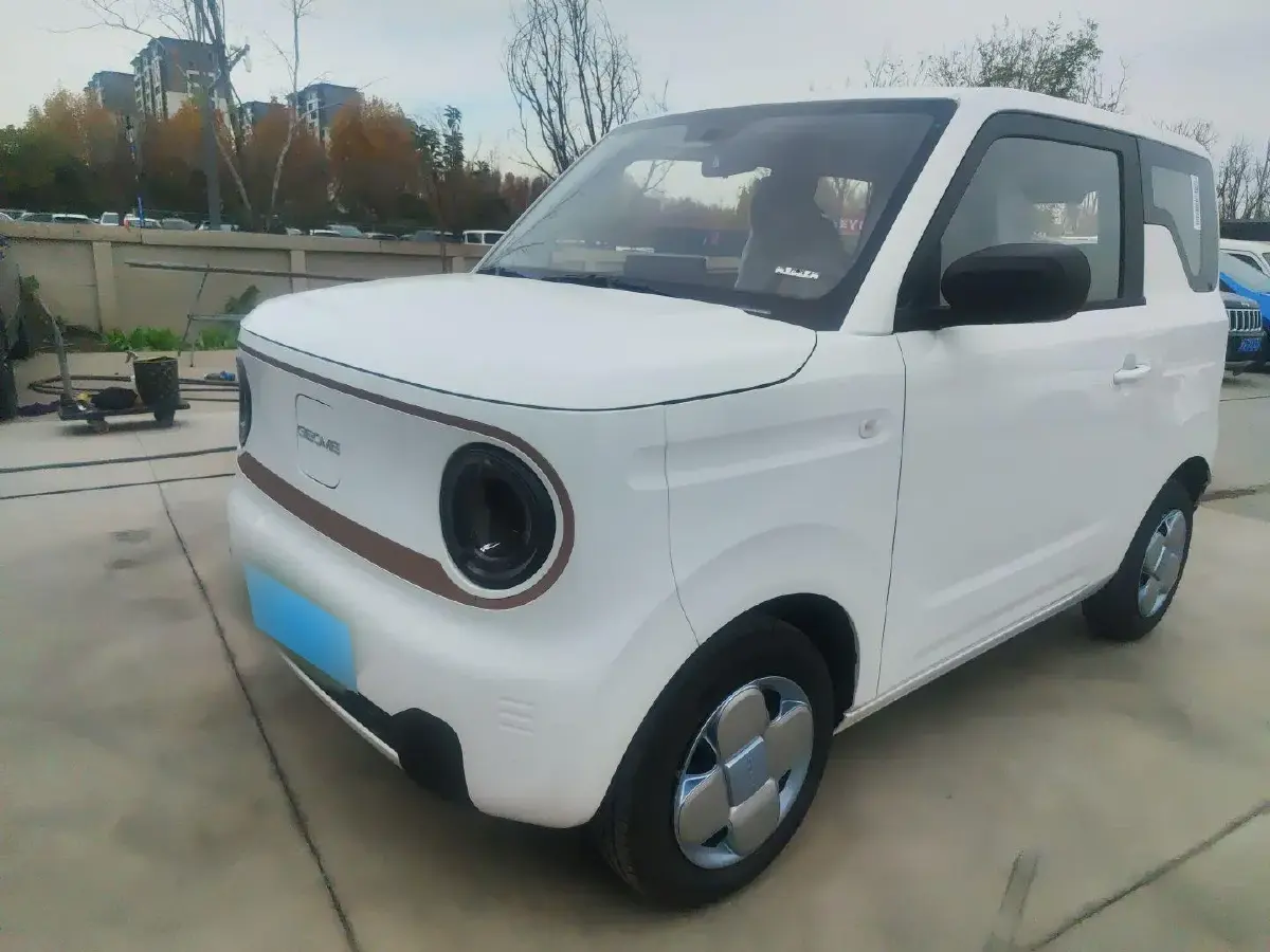 2024 Geely Panda BEV 17.03KWH