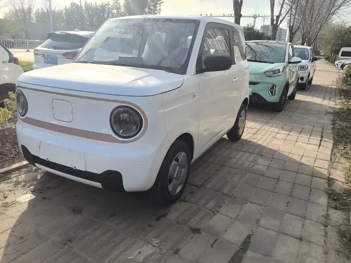 2023 Geely Panda BEV 17.03KWH