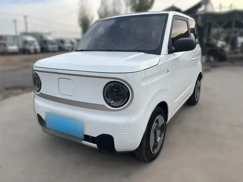 2023 Geely Panda BEV 17.03KWH