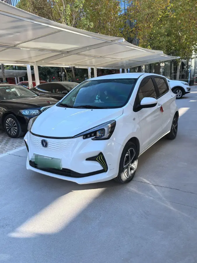 2022 ChangAn BenBen E-Star BEV 31.95KWH