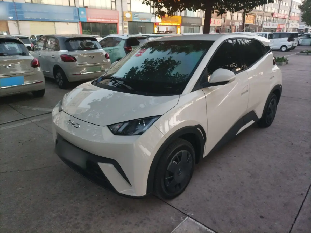 2025 BYD Seagull BEV 30.08KWH